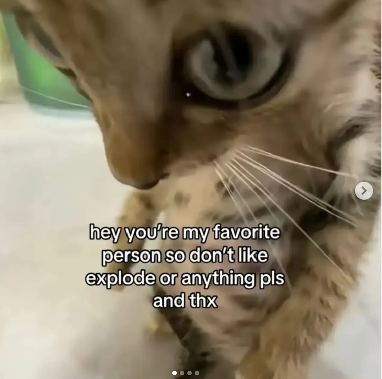 hey you're my favorite person so don't like explode or anything pls and thx >