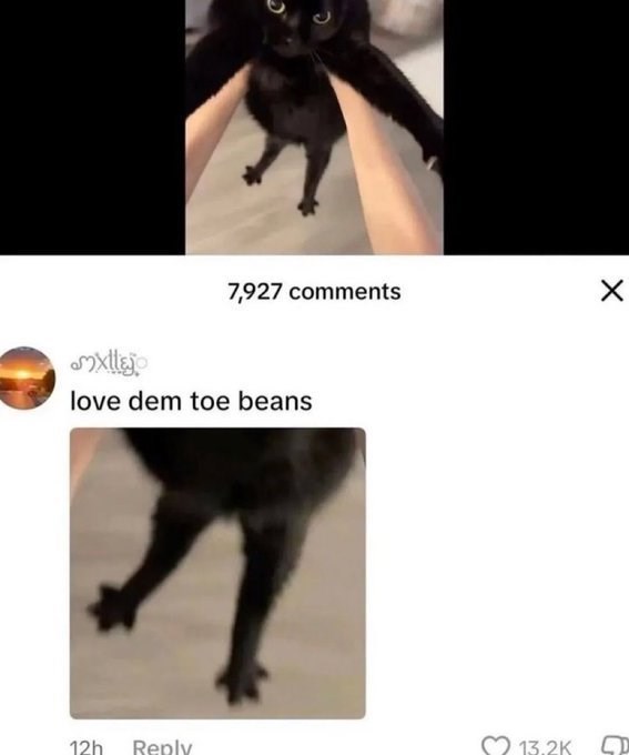 D 7,927 comments mxllejo love dem toe beans 12h Reply 13.2K