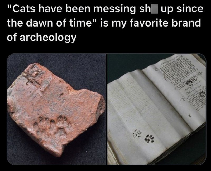 "Cats have been messing sh up since the dawn of time" is my favorite brand of archeology ふい 41933