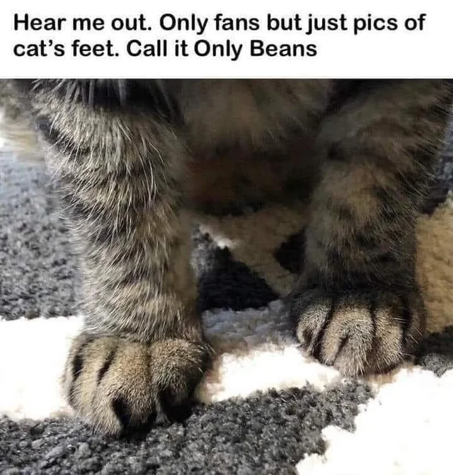 Hear me out. Only fans but just pics of cat's feet. Call it Only Beans