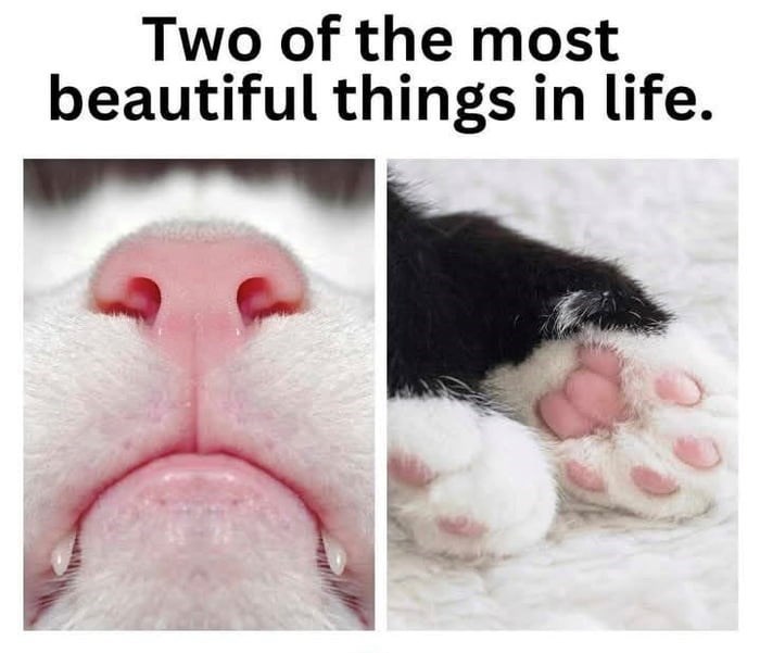 Two of the most beautiful things in life.