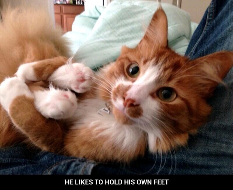 HE LIKES TO HOLD HIS OWN FEET