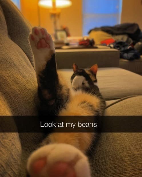 Look at my beans