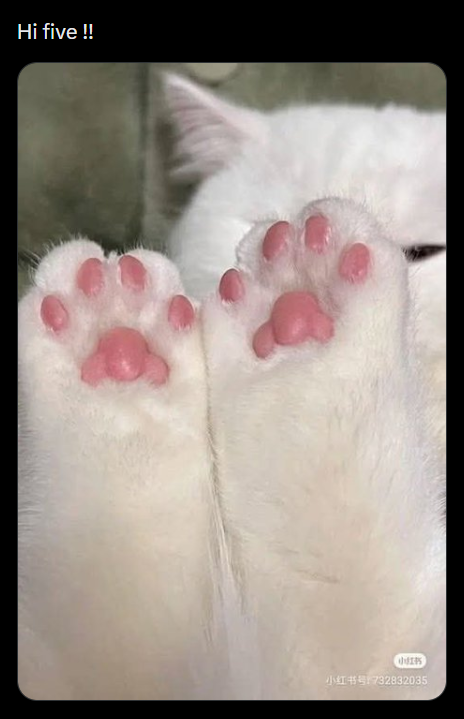 Hi five !! 小红书 小红书号:732832035