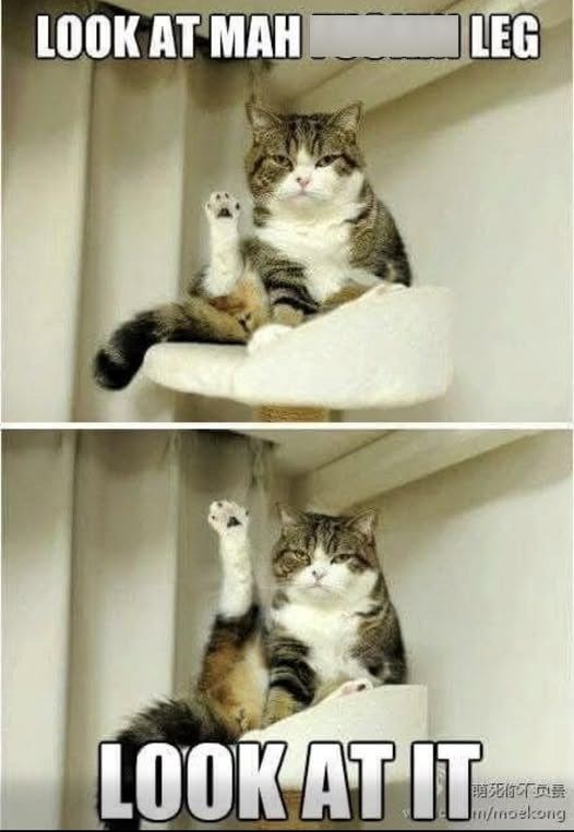 LOOK AT MAH I LEG LOOK AT IT 讓死不负费 /moekong