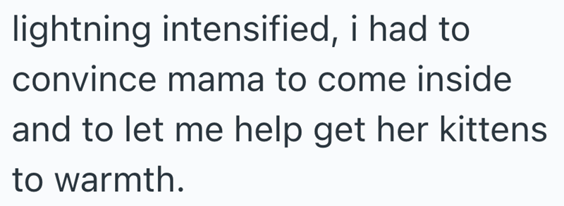 lightning intensified, i had to convince mama to come inside and to let me help get her kittens to warmth.