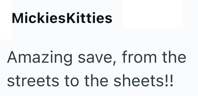 MickiesKitties Amazing save, from the streets to the sheets!!