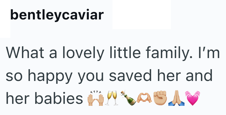 bentleycaviar What a lovely little family. I'm so happy you saved her and her babies Wal