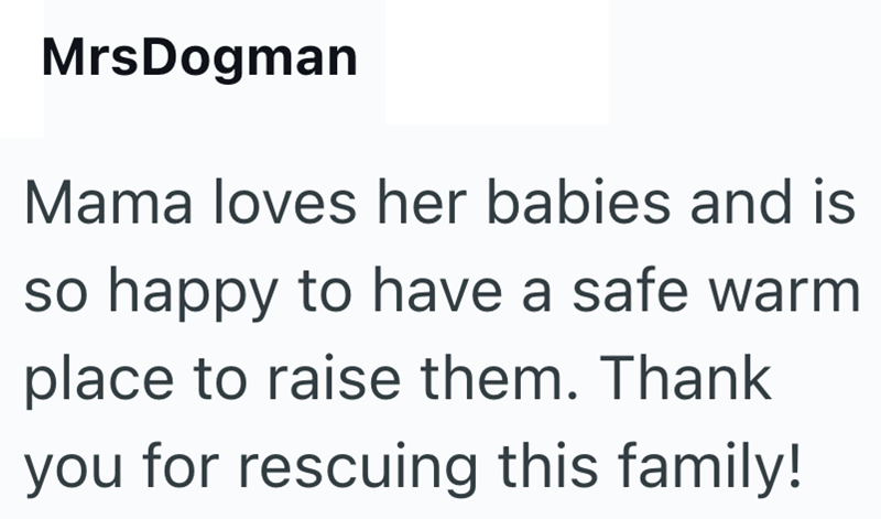 MrsDogman Mama loves her babies and is so happy to have a safe warm place to raise them. Thank you for rescuing this family!
