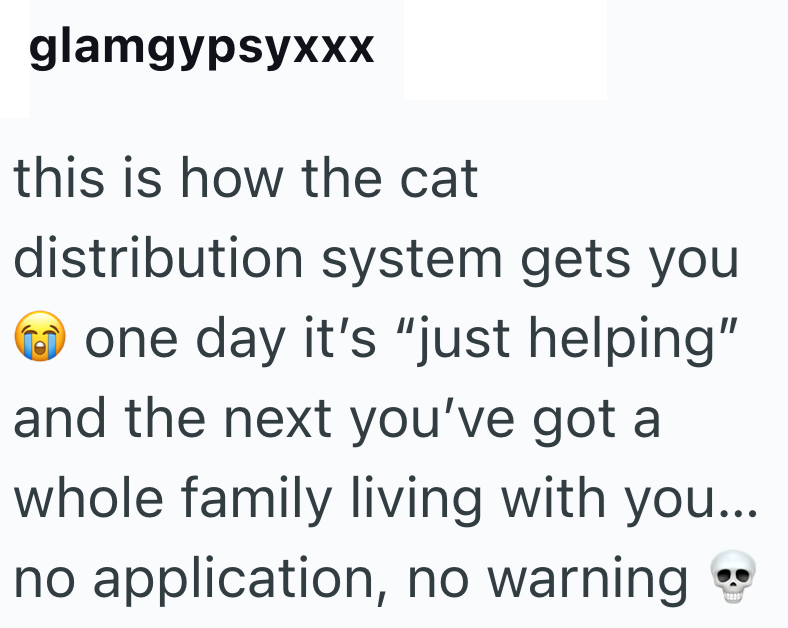 glamgypsyxxx this is how the cat distribution system gets you one day it's "just helping" and the next you've got a whole family living with you... no application, no warning