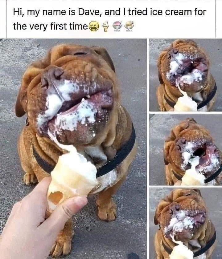 Hi, my name is Dave, and I tried ice cream for the very first time