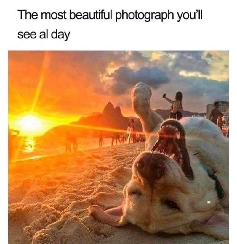 The most beautiful photograph you'll see al day