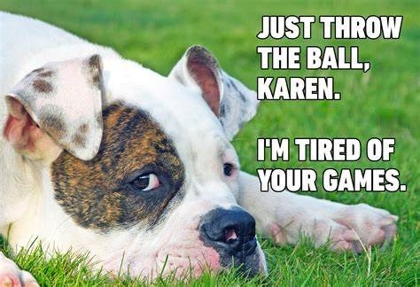 JUST THROW THE BALL, KAREN. I'M TIRED OF YOUR GAMES.