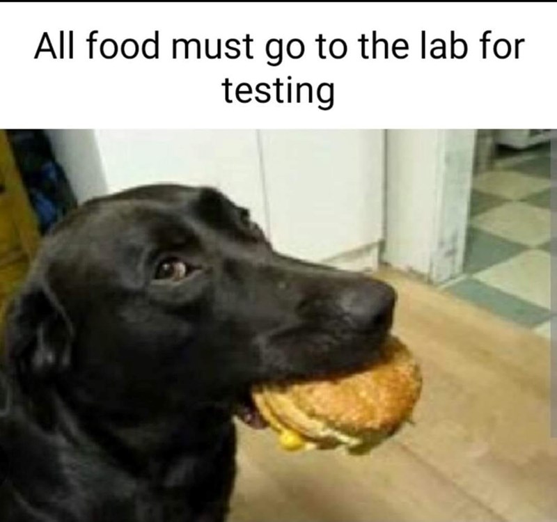 All food must go to the lab for testing