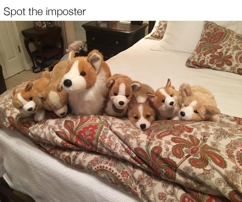 Spot the imposter