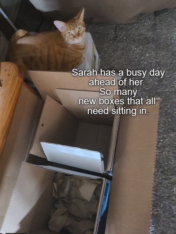 Cheezburger Image 10617549824