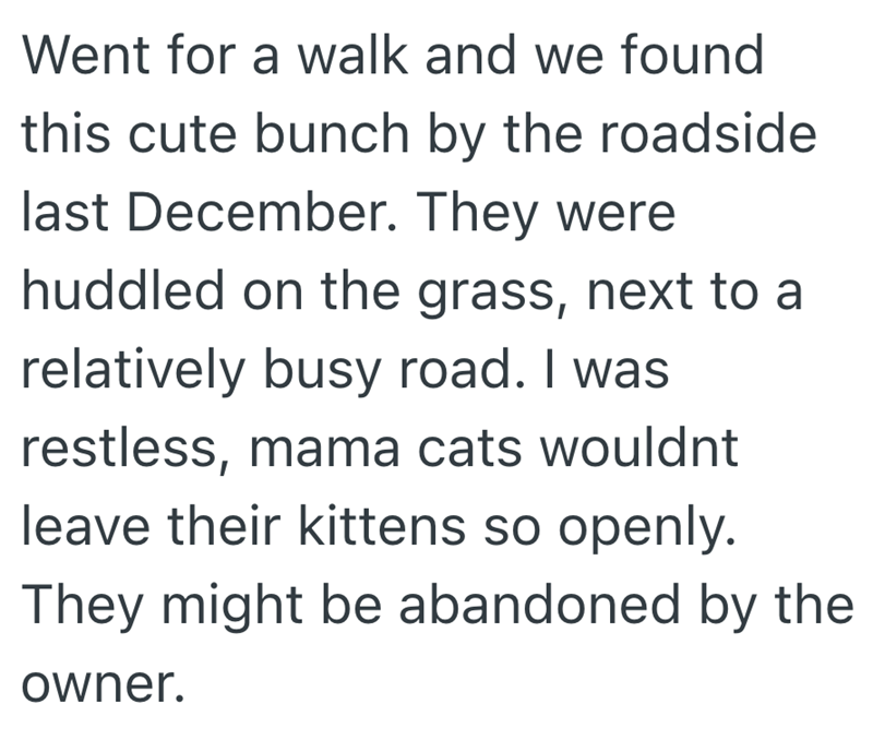 Went for a walk and we found this cute bunch by the roadside last December. They were huddled on the grass, next to a relatively busy road. I was restless, mama cats wouldnt leave their kittens so openly. They might be abandoned by the owner.