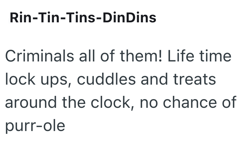Rin-Tin-Tins-Din Dins Criminals all of them! Life time lock ups, cuddles and treats around the clock, no chance of purr-ole