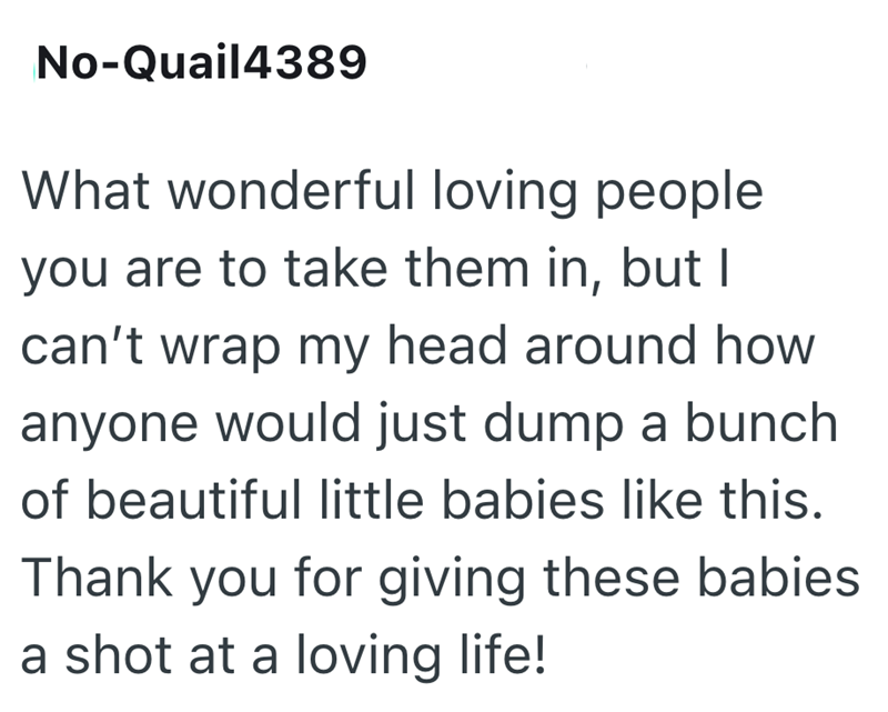 No-Quail4389 What wonderful loving people you are to take them in, but I can't wrap my head around how anyone would just dump a bunch of beautiful little babies like this. Thank you for giving these babies a shot at a loving life!
