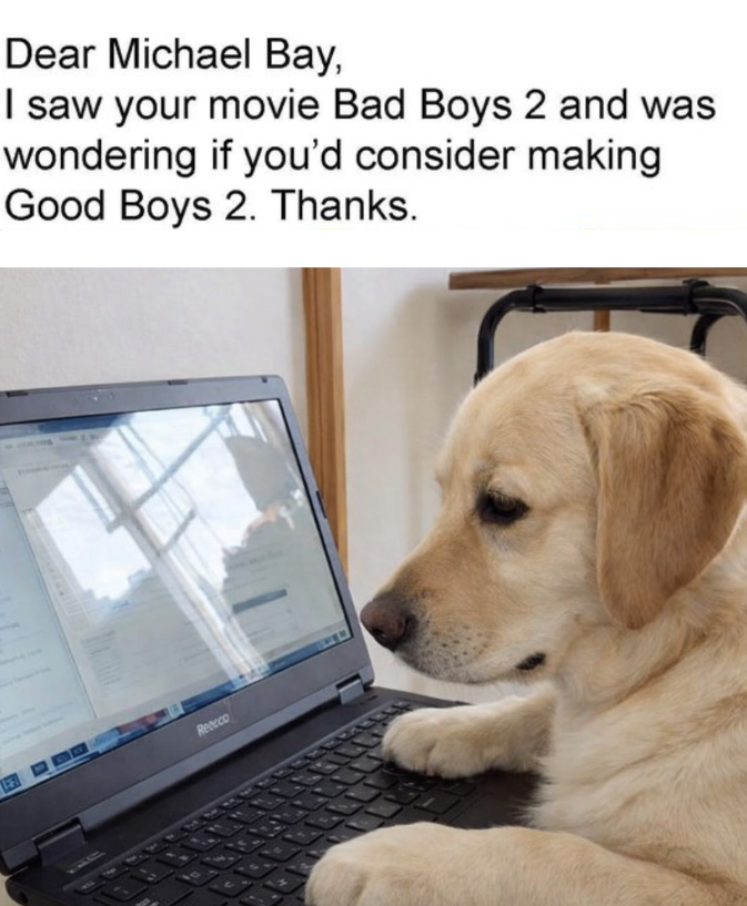 Dear Michael Bay, I saw your movie Bad Boys 2 and was wondering if you'd consider making Good Boys 2. Thanks. Reocco