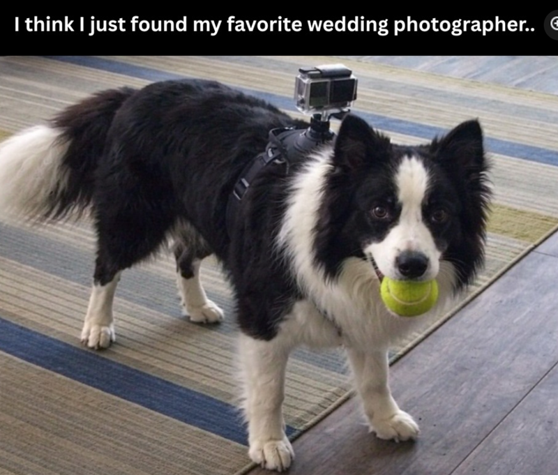 I think I just found my favorite wedding photographer..