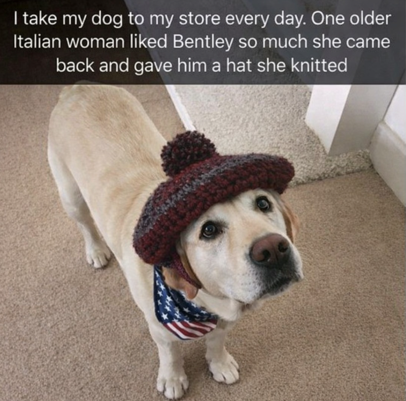 I take my dog to my store every day. One older Italian woman liked Bentley so much she came back and gave him a hat she knitted