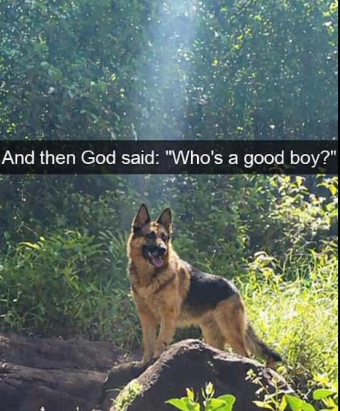 And then God said: "Who's a good boy?"