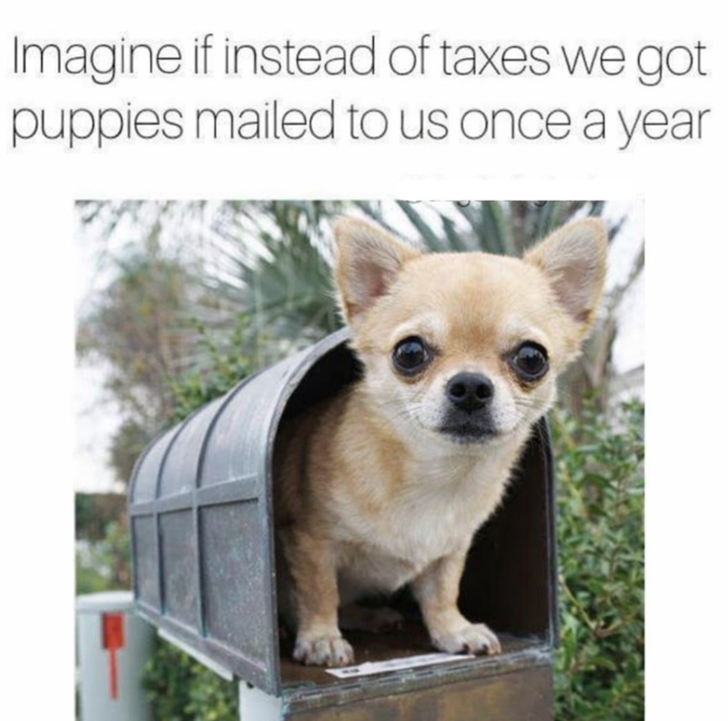 Imagine if instead of taxes we got puppies mailed to us once a year