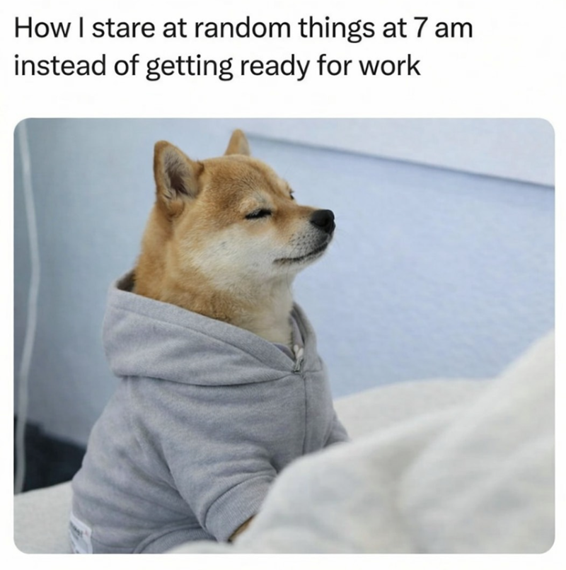 How I stare at random things at 7 am instead of getting ready for work