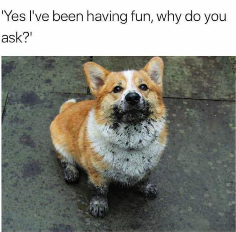 'Yes I've been having fun, why do you ask?'