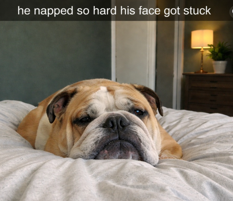 he napped so hard his face got stuck