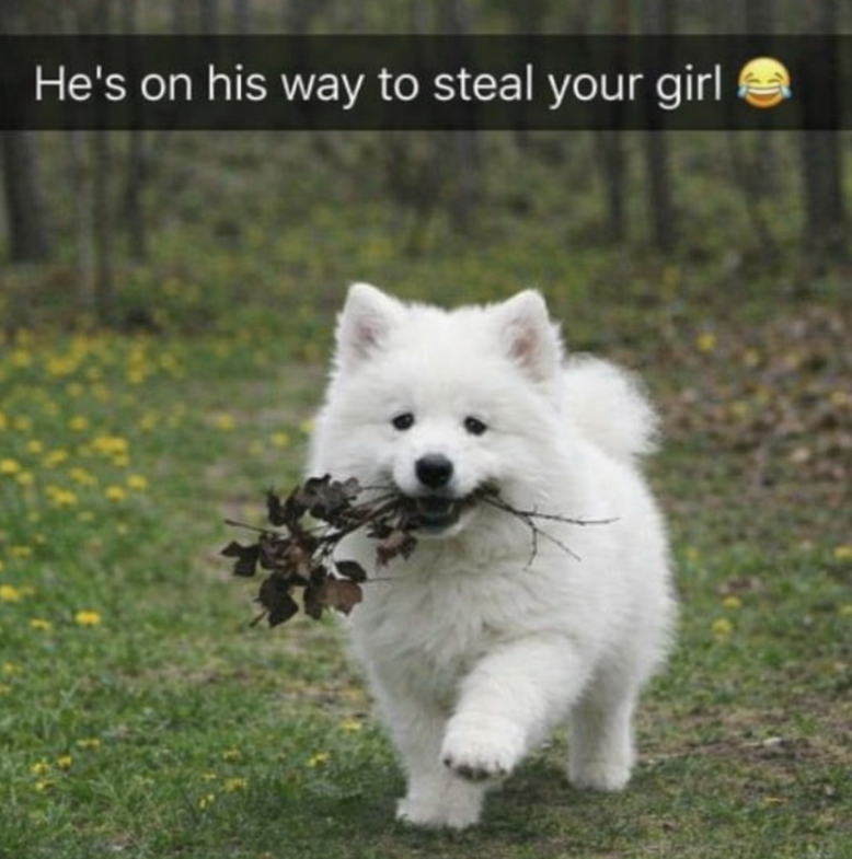 He's on his way to steal your girl