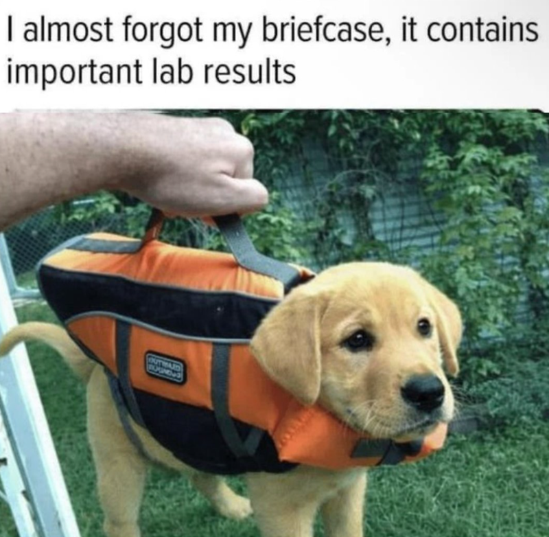 I almost forgot my briefcase, it contains important lab results OUTWARD