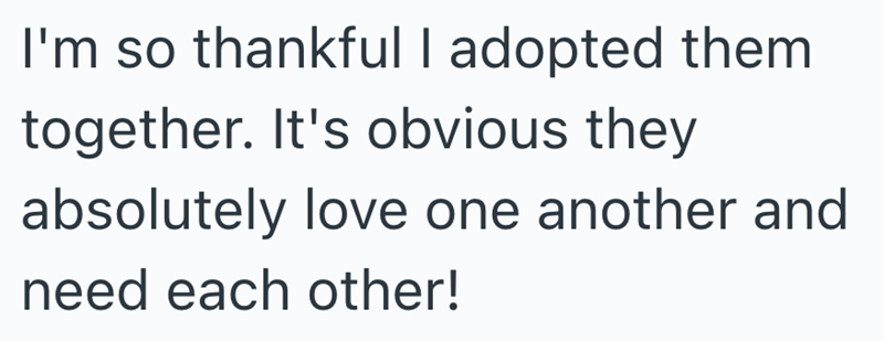 I'm so thankful I adopted them together. It's obvious they absolutely love one another and need each other!