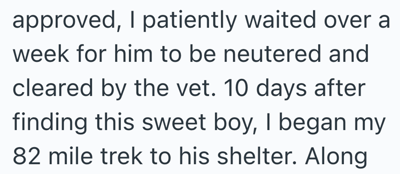 approved, I patiently waited over a week for him to be neutered and cleared by the vet. 10 days after finding this sweet boy, I began my 82 mile trek to his shelter. Along