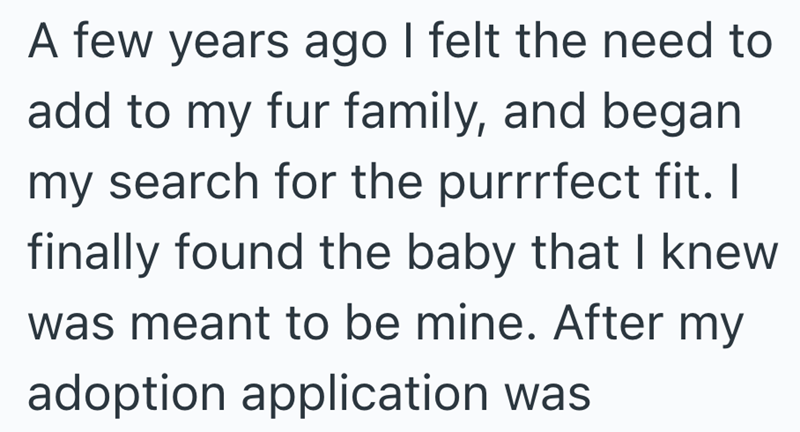 A few years ago I felt the need to add to my fur family, and began my search for the purrrfect fit. I finally found the baby that I knew was meant to be mine. After my adoption application was