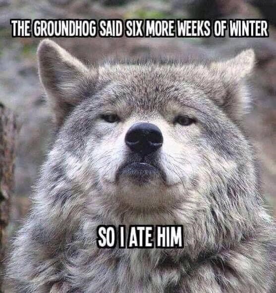 THE GROUNDHOG SAID SIX MORE WEEKS OF WINTER SO I ATE HIM