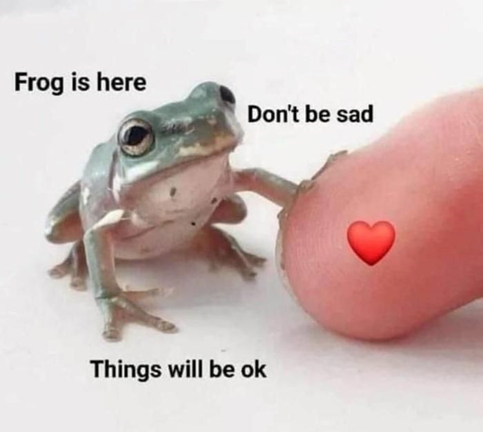 Frog is here Don't be sad Things will be ok