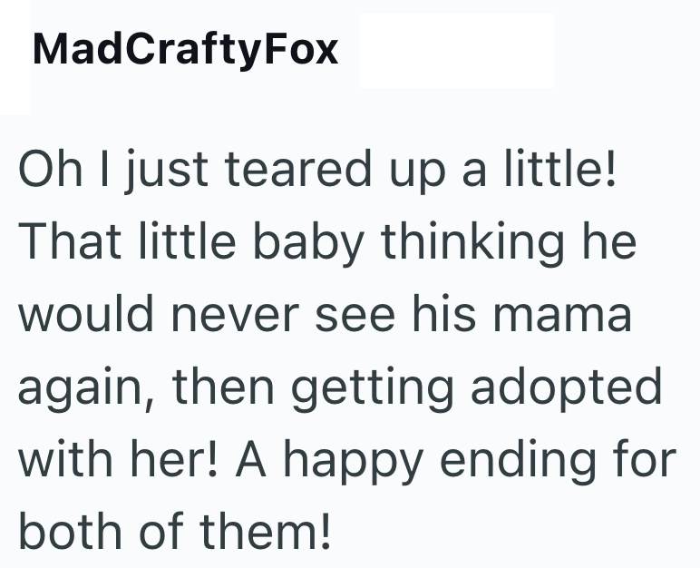 MadCraftyFox Oh I just teared up a little! That little baby thinking he would never see his mama again, then getting adopted with her! A happy ending for both of them!