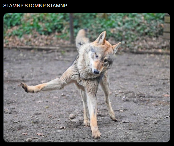 STAMNP STOMNP STAMNP