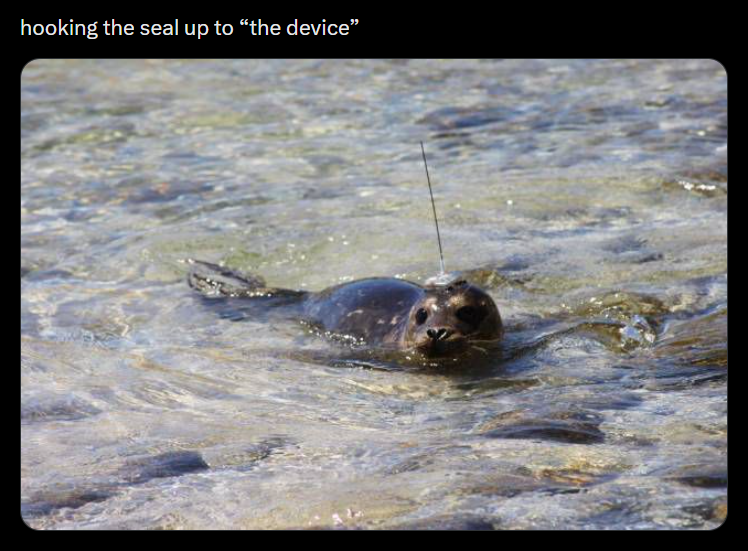 hooking the seal up to “the device”