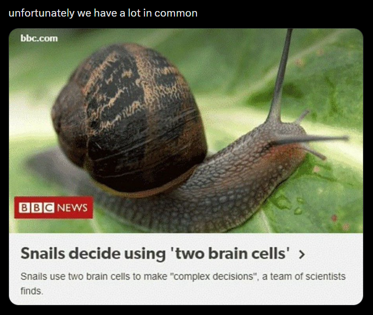 unfortunately we have a lot in common bbc.com BBC NEWS Snails decide using 'two brain cells' > Snails use two brain cells to make "complex decisions", a team of scientists finds.