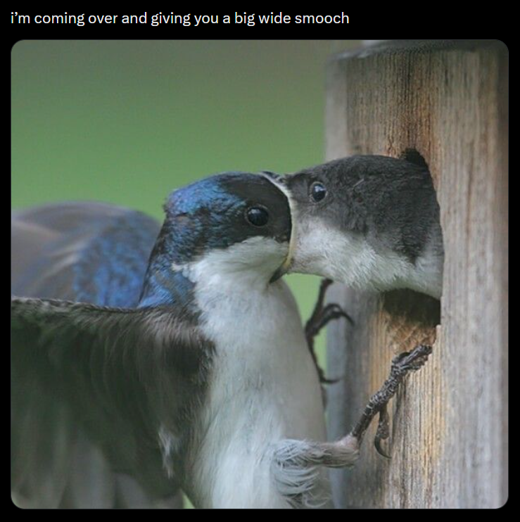 i'm coming over and giving you a big wide smooch