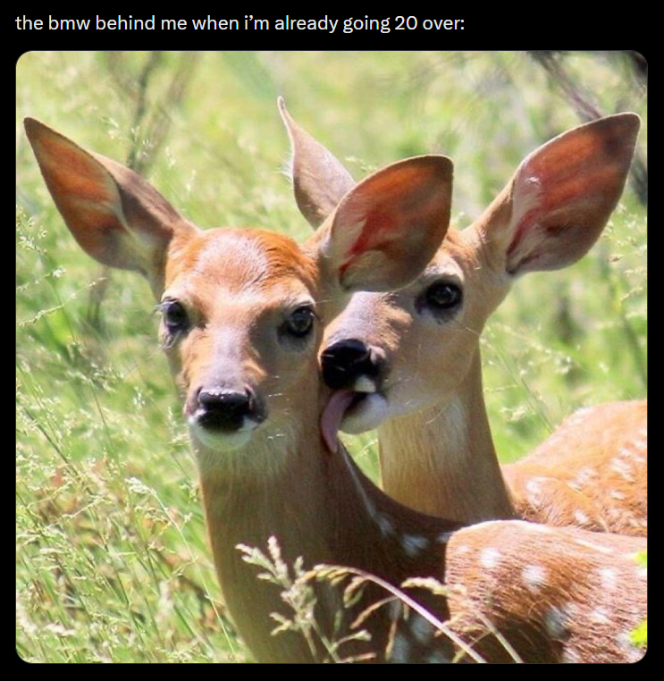 the bmw behind me when i'm already going 20 over: