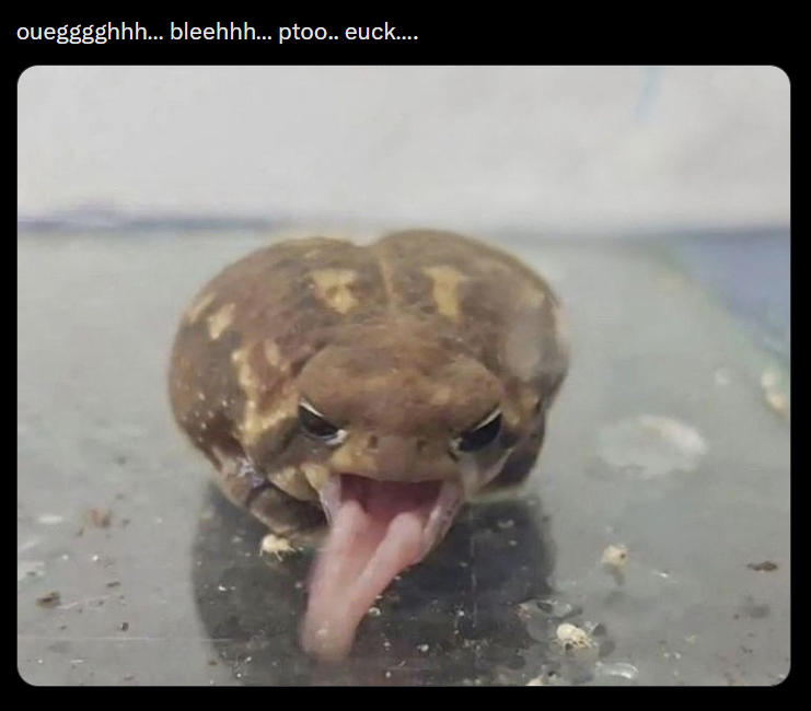 ouegggghhh... bleehhh... ptoo.. euck....