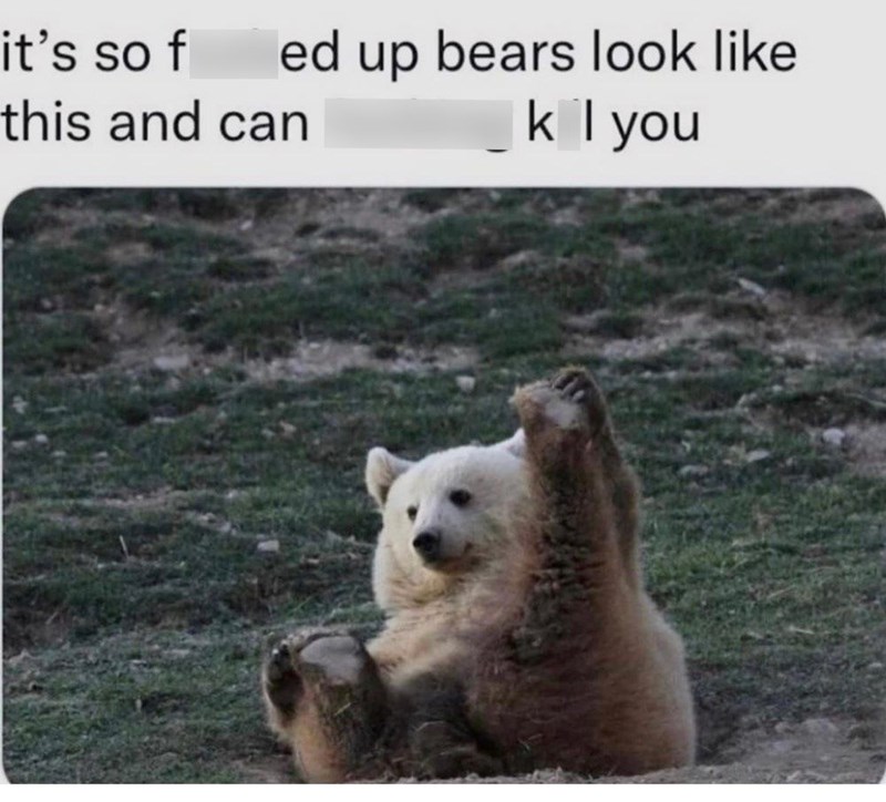 it's so f this and can ed up bears look like k I you
