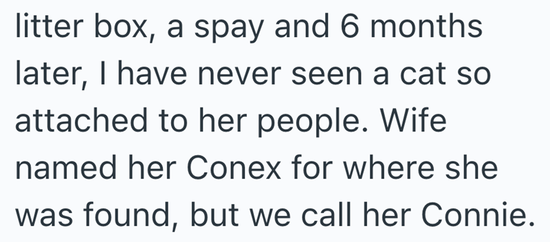 litter box, a spay and 6 months later, I have never seen a cat so attached to her people. Wife named her Conex for where she was found, but we call her Connie.