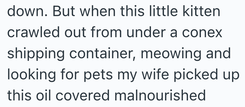 down. But when this little kitten crawled out from under a conex shipping container, meowing and looking for pets my wife picked up this oil covered malnourished
