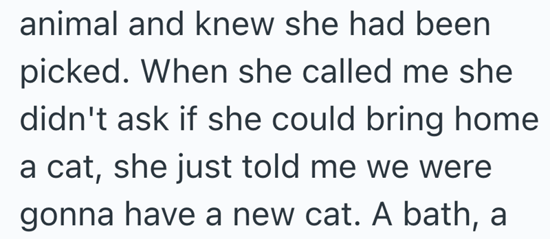 animal and knew she had been picked. When she called me she didn't ask if she could bring home a cat, she just told me we were gonna have a new cat. A bath, a