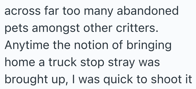 across far too many abandoned pets amongst other critters. Anytime the notion of bringing home a truck stop stray was brought up, I was quick to shoot it